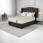 Mattress on a bed frame in a room with a plant and window.