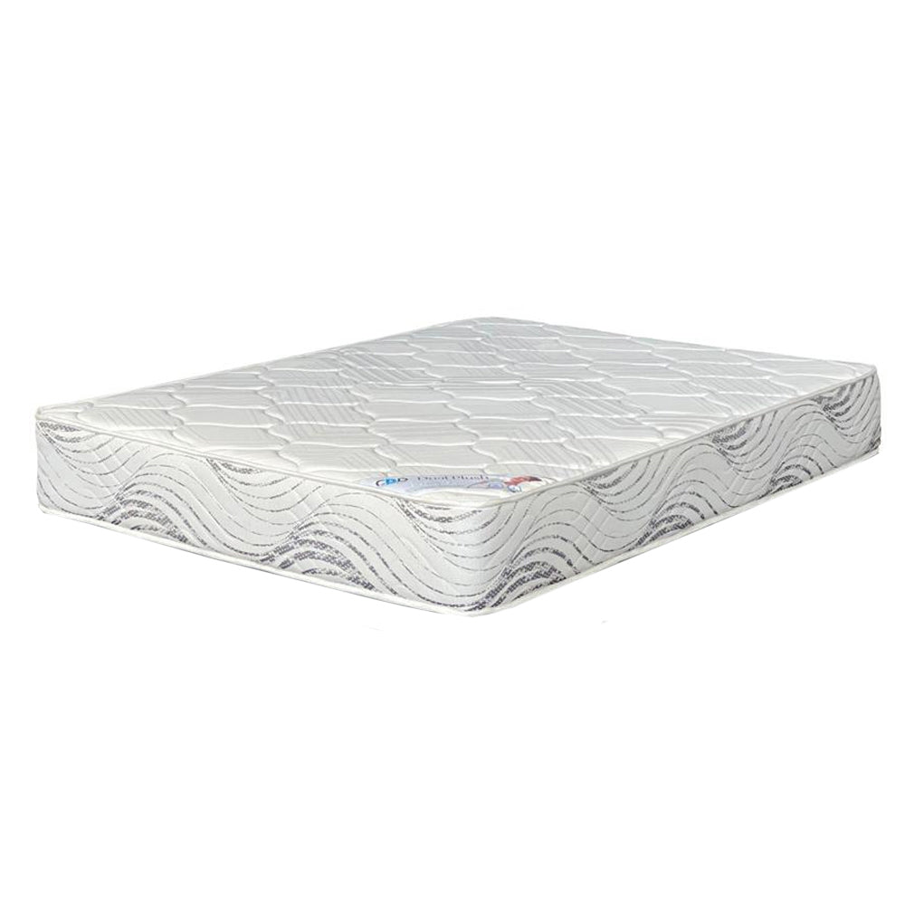 Dual Plush Foam Queen Bed Set Standard Length