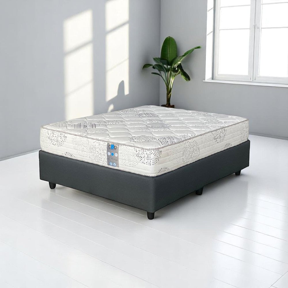 Mattress on a bed frame in a room with a plant and windows