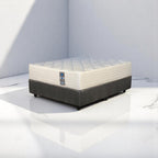 Spine Paedic Medium Double Bed Set Standard Length