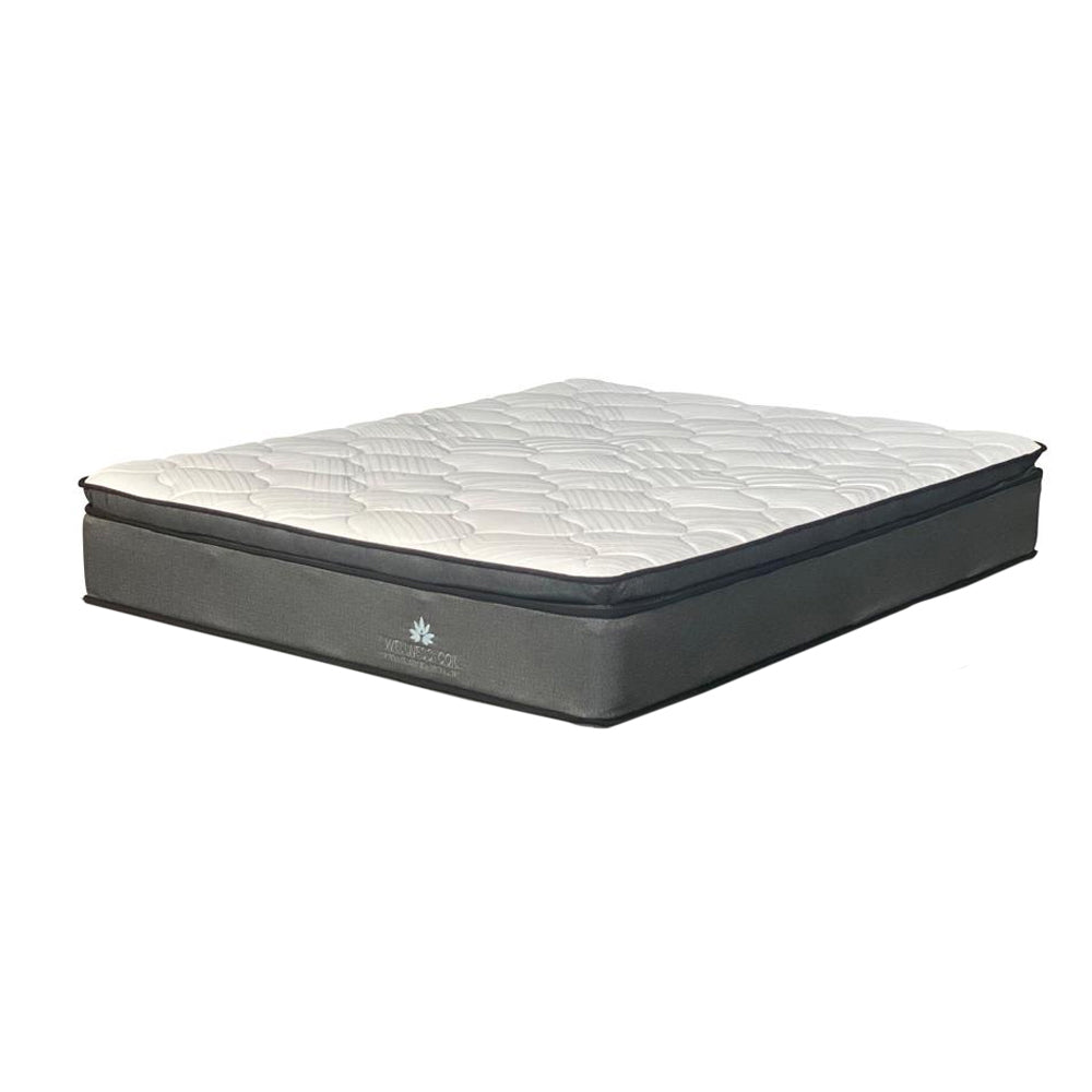 Wellness Coil Medium Queen Bed Set Standard Length