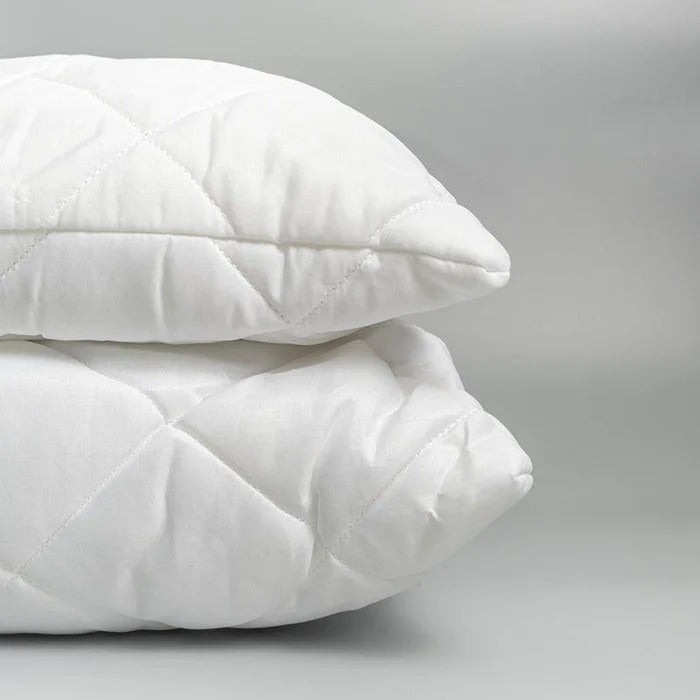 Chip Latex Twin Pack Plain Bag Pillow Standard Length