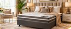 Bed Crafter Ten Star Firm Double Bed Set Standard Length